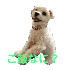 [LINEスタンプ] エミリア 