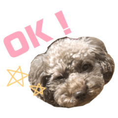 [LINEスタンプ] ボーロ大好きぶーちゃん 