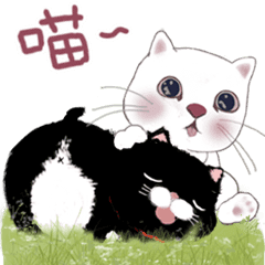 [LINEスタンプ] 猫家族06 雪花ちゃんと黑豆貓-日常会話