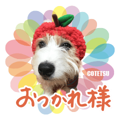 [LINEスタンプ] コテツとシオリ