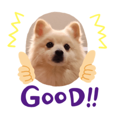 [LINEスタンプ] デカポメ シロ。