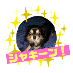 [LINEスタンプ] かぞくですたんぷ