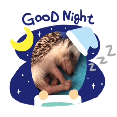 [LINEスタンプ] ヨモギの1日