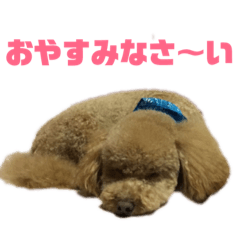 [LINEスタンプ] 加古川のマル
