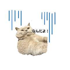 [LINEスタンプ] 親族一同