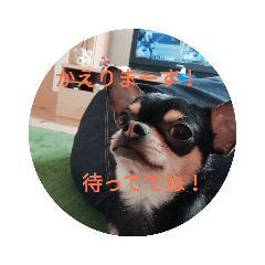 [LINEスタンプ] はらさんち1925
