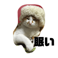 [LINEスタンプ] うちのおにゃん達