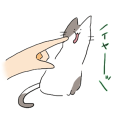 [LINEスタンプ] つつかれるねこ