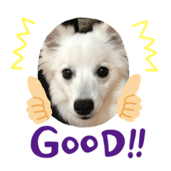 [LINEスタンプ] ゆきちゃん①