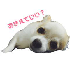 [LINEスタンプ] 鈴奈のすたんぷですー！！