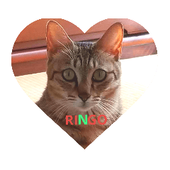 [LINEスタンプ] PRETTY RINGO❤️