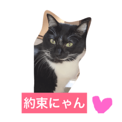 [LINEスタンプ] ジジさん