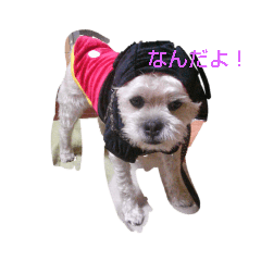 [LINEスタンプ] tatata777