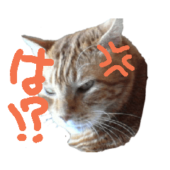 [LINEスタンプ] みゆ-tg2