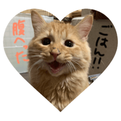 [LINEスタンプ] くぅたん✩.*˚