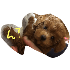 [LINEスタンプ] ちゅらりっく兄弟。