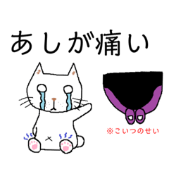 [LINEスタンプ] フィンスイミング猫