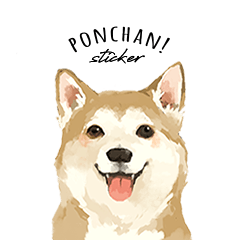 [LINEスタンプ] ぽんちゃん かわいい犬のスタンプ 