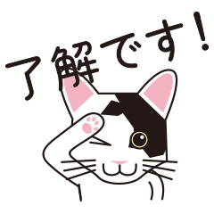 [LINEスタンプ] 日本猫のロイくん