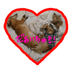[LINEスタンプ] りるちゃんシリーズ 