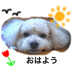 [LINEスタンプ] ソラライフ 