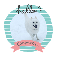 [LINEスタンプ] ハートくんの日常❷