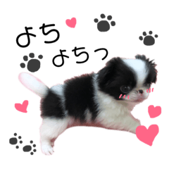 [LINEスタンプ] つくね犬