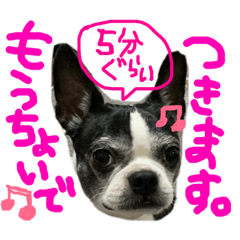 [LINEスタンプ] ラブちゃん2