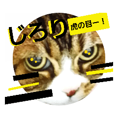 [LINEスタンプ] 桃日々のいろんな気持ち✨