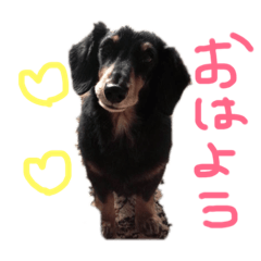 [LINEスタンプ] 日常ダックくん