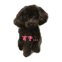 [LINEスタンプ] ブラックトイプーのウランくんのスタンプ