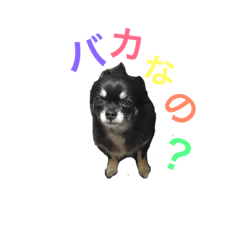 [LINEスタンプ] 飯島ゆきち可愛いスタンプ