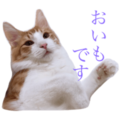 [LINEスタンプ] 癒しのおいも