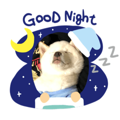 [LINEスタンプ] 飯沼さんちのムサシくん fetchpriority=high