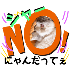 [LINEスタンプ] 猫のルークにゃんスタンプ 