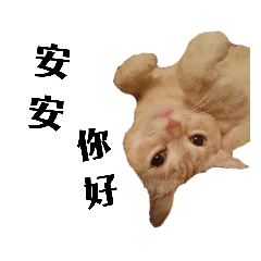 [LINEスタンプ] ねこ話し 2 