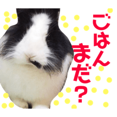 [LINEスタンプ] ライオンラビットとミニうさぎ