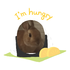 [LINEスタンプ] うさぎのモコパート2