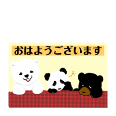 [LINEスタンプ] しろくま君 くろくま君 パンダ君