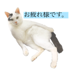 [LINEスタンプ] 愉快な5匹