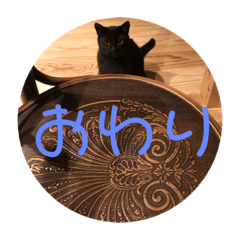 [LINEスタンプ] nero ＆ latte 使える猫スタンプ