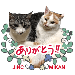 [LINEスタンプ] ジンク＆ミカン0026