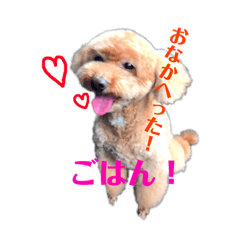 [LINEスタンプ] トイプのリッキー