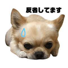 [LINEスタンプ] いわもと家スタンプ