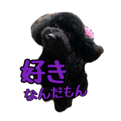 [LINEスタンプ] ツンデレといぷ 嶺音『たかね』の日常。