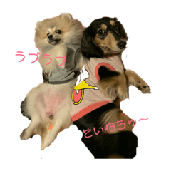 [LINEスタンプ] ペットたちー