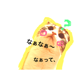 [LINEスタンプ] うちの子MRTー関西弁
