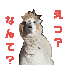 [LINEスタンプ] 無関心どうぶつ