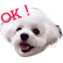 [LINEスタンプ] ちょこスタンプ 1
