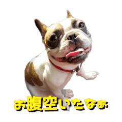 [LINEスタンプ] れおんくんくん